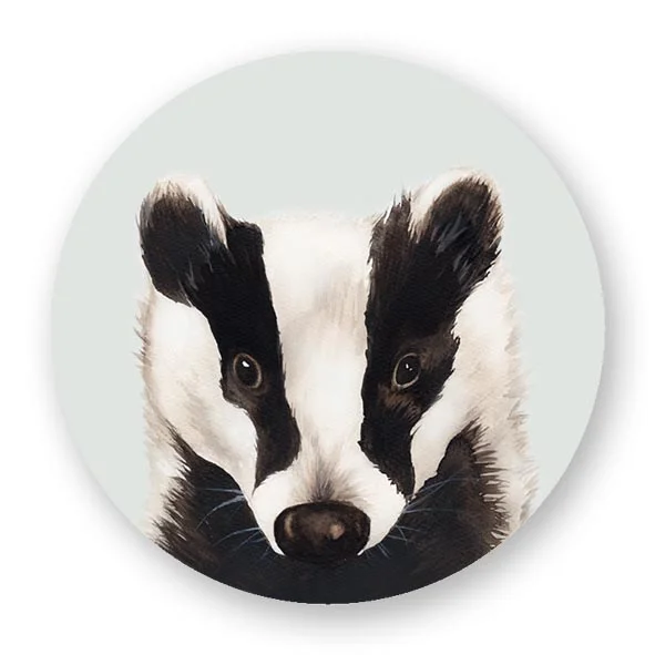 Magneetti Henna Adel Mäyrä